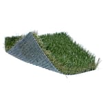 View SoftLawn Autumn Fescue