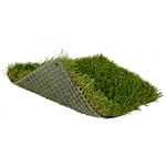 View SoftLawn® Fresh Zoysia