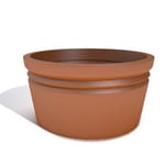 View Low Cylinder Planter