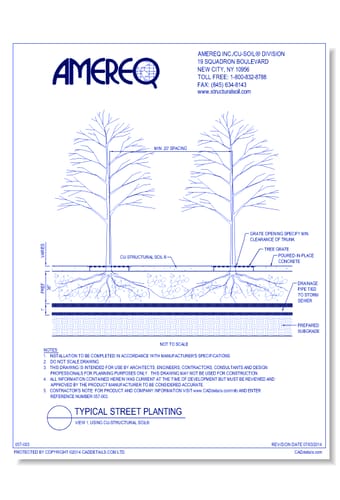 Typical Street Tree Planting, View 2, using CU-Structural Soil®