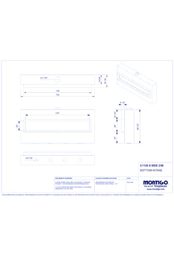 Custom 11' Single Sided - C-VIEW (C1120) Commercial Gas Fireplace