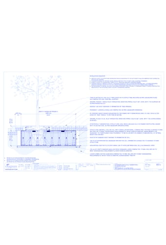 StrataVault™ Tree Planting w/ Duraplate™ 1200 mm Tree Grates - 800 mm Depth Soil Cells w/ Irrigation and Root Barrier (Snorkil)