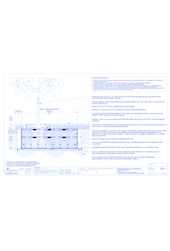 StrataVault™ Tree Planting w/ Duraplate™ 1200 mm Tree Grates - 1000 mm Depth Soil Cells w/ Irrigation and Root Barrier (Snorkil)