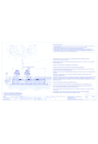 StrataVault™ Tree Planting in Flush Curb - 425 mm Depth Soil Cells w/ Irrigation and Root Barrier (Snorkil)