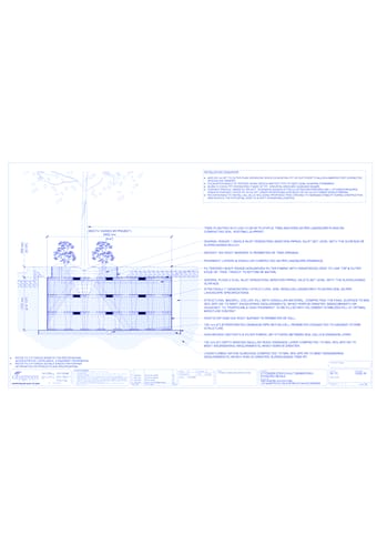 StrataVault™ Tree Planting in Flush Curb - 1225 mm Depth Soil Cells w/ Irrigation and Root Barrier (Snorkil)