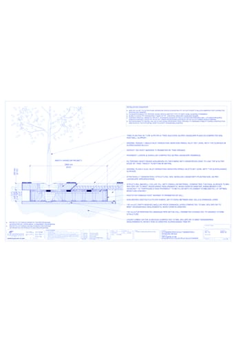 StrataVault™ Tree Planting in Turf - 425 mm Depth Soil Cells w/ Irrigation and Root Barrier (Snorkil)