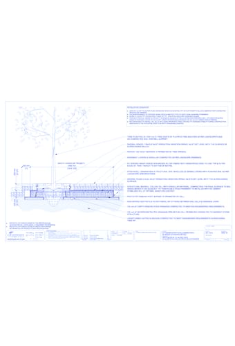 Stratacell™ Tree Planting w/ Duraplate™ 1200 mm Tree Grates - 250 mm Depth Soil Cells w/ Irrigation and Root Barrier (Snorkil)