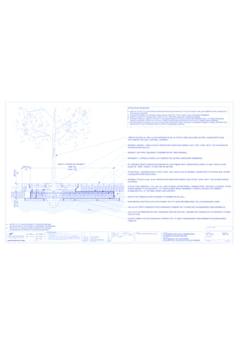 Stratacell™ Tree Planting w/ Invisigrate™ 1800 mm Tree Grates - 250 mm Depth Soil Cells w/ Irrigation and Root Barrier (Snorkil)