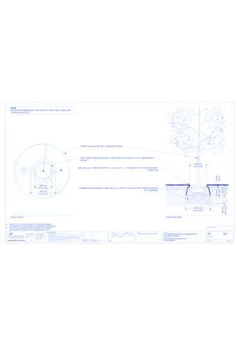 Tree Planting in Root Director - 600 mm Diameter