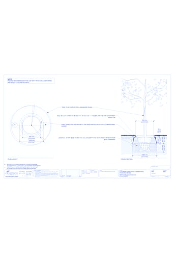 Tree Planting in Root Director - 900 mm Diameter