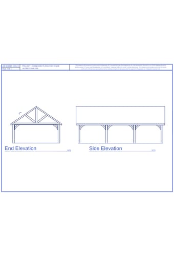 20' Wide - Alpine Pavilion