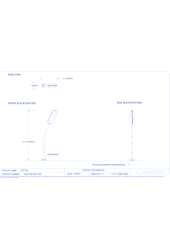 Cattail (VOR 7538)