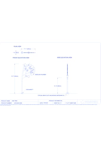 Oak Tree (VOR 8493)
