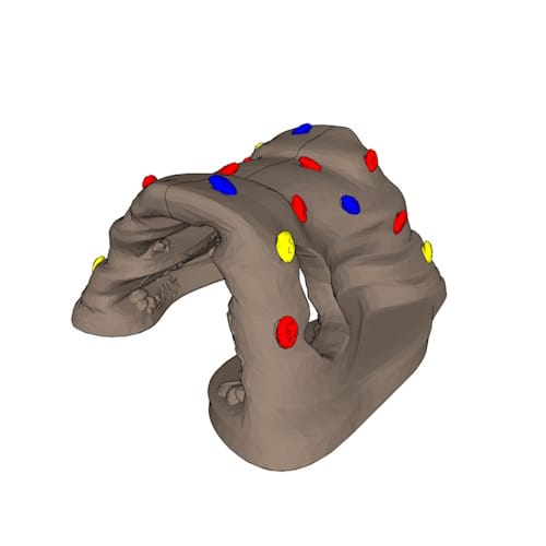 5052 - Discover Cave with Primary Grips
