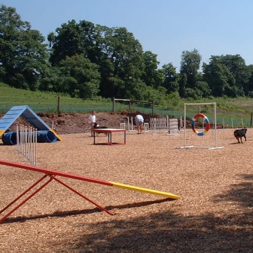 WoodCarpet® for Dog Parks, Dog Runs, and Dog Agility Areas preview 1