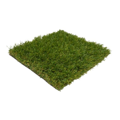 ForeverLawn LandScapes Verana preview 1