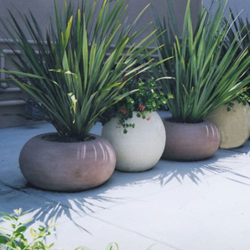 Calypso / Planters & Vases preview 1