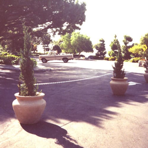 Duarte / Planters & Vases preview 1