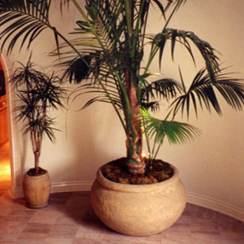 Petra / Planters & Vases preview 1