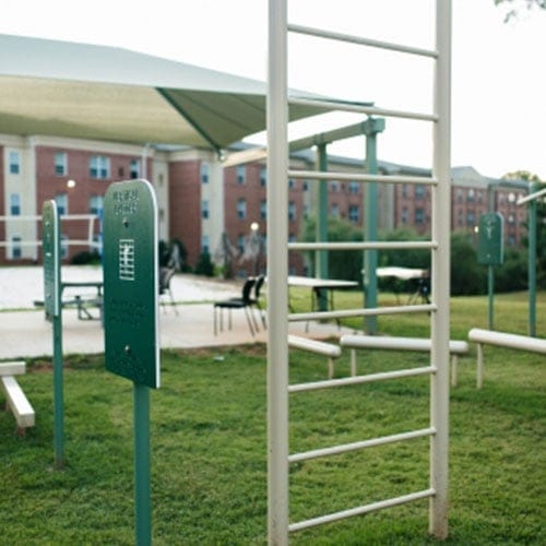 Fitness Equipment: Vertical Ladder (60019402XX) preview 1