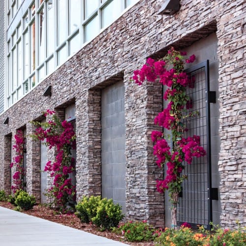 NatureScreen® Wall Mounted Trellises and Parking Garage Screening  preview 2