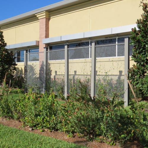 NatureScreen® Post Mounted Trellis Fencing  preview 2