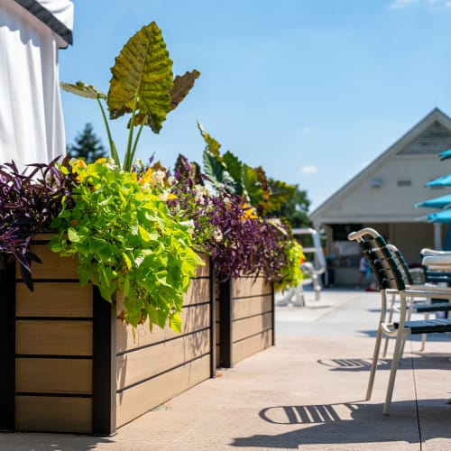 NatureScreen® Commercial Planters  preview 3