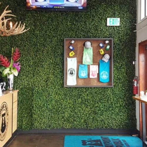 Premium Living Walls preview 1