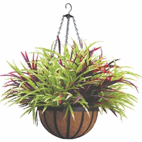 Hanging Basket With Flowers preview 1