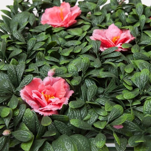 UV Outdoor Rated 12"x12" Azalea Mat for Signage preview 1