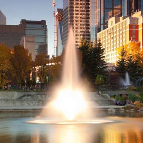 Aerating Fountain Products