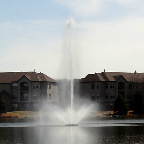 Aquastar Giant Fountain preview 1