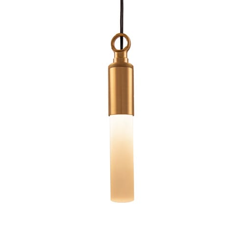 Agave 6" Pendant - Acrylic Shield (HPD100432) preview 1