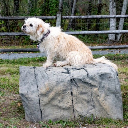 Small Boulder