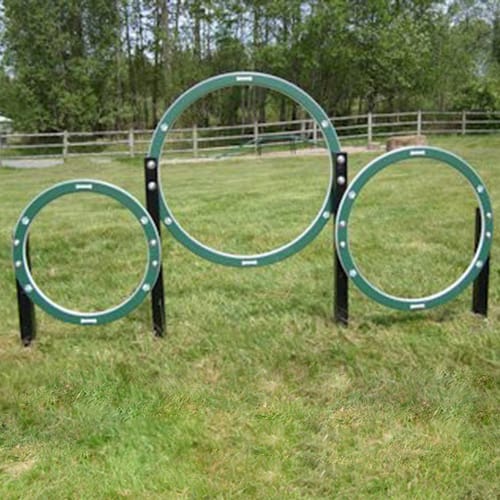 Husky Triple Hoop