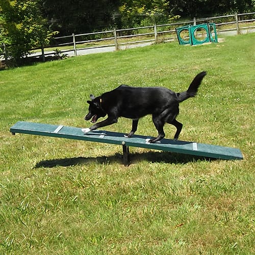 Scottie Seesaw preview 2