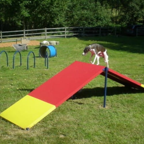 Agility Equipment