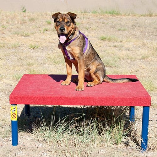 Wait Tables