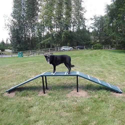 Whippet Walk preview 1