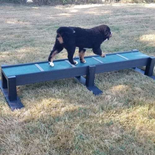 Eco Balance Beam preview 2