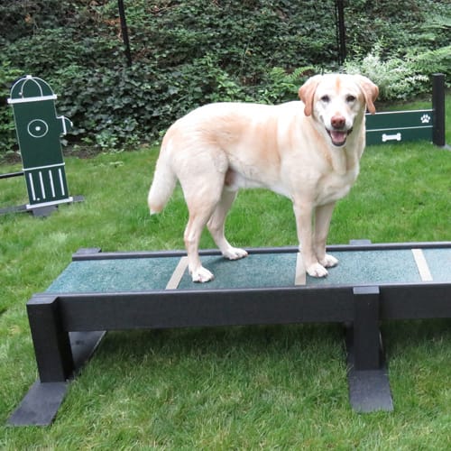 Eco Balance Beam preview 1