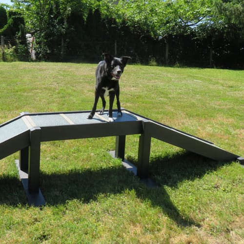 Eco Dog Walk Ramp (Small) preview 2