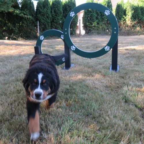 Eco Double Hoop Jump preview 1