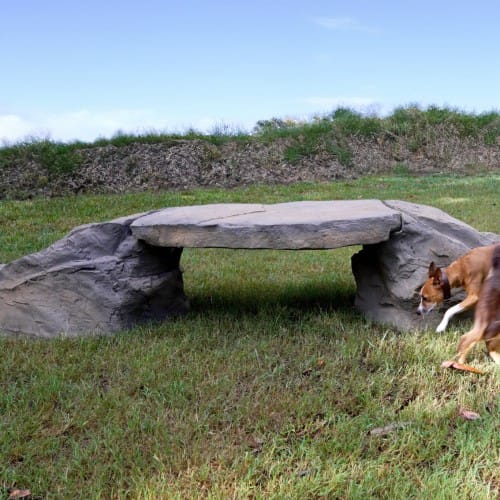 NatureDog™ Canine Crossing preview 2