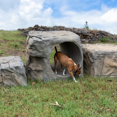NatureDog™ Boulder Run Set preview 1