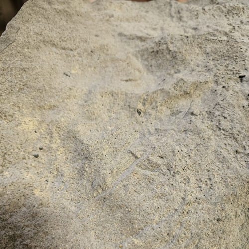 NatureDog™ Boulder Run Set preview 4