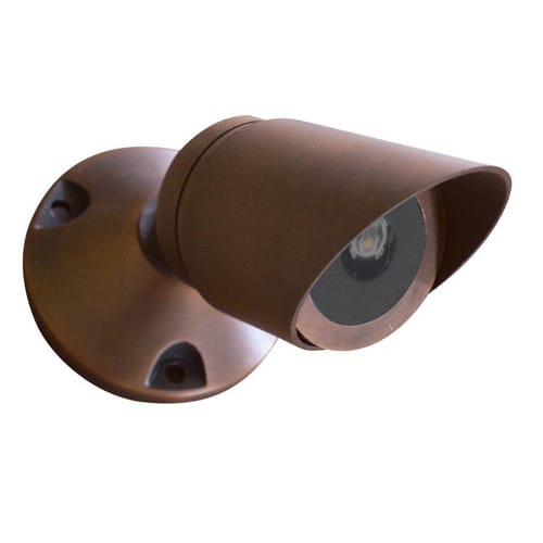 Directional Downlight