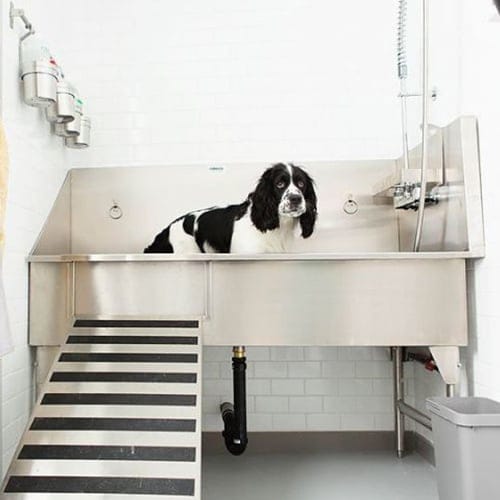 Dog Grooming