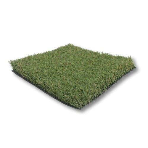 Summer Rye Landscape Turf