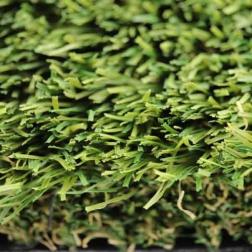 Coronado Landscape Turf preview 3